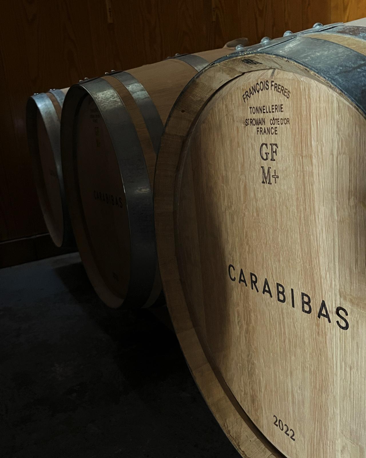 Barricas de roble francés en Bodegas Sierra de Cabreras